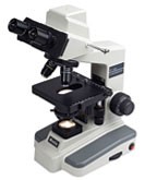 Motic digital microscope