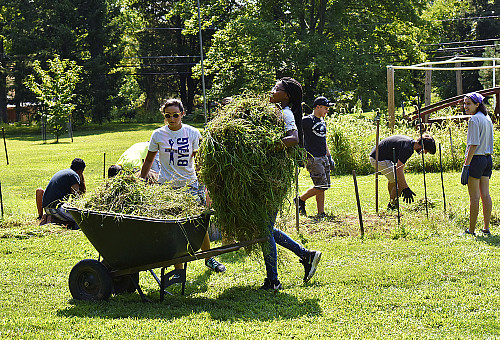 Students helping at organic farm