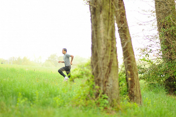 Outdoor running trail at Ursinus College's Hunsberger Woods.
