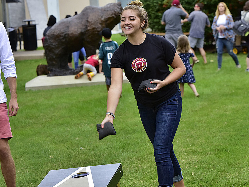 bag toss
