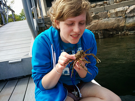 Woods Hole marine biology