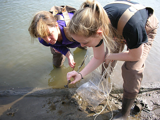 Freshwater Biology