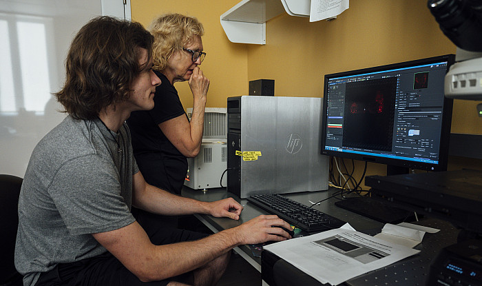 Connor Evangelisto works with his Dr. Ellen Dawley during his summer fellows research - June 25, 2024