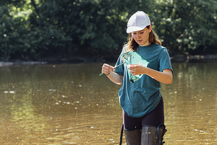 Emily Lybashev collecting and measuring crayfish in the Perkiomen Creek for research. - June 25, 2024