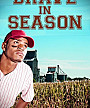 Brave in Season by Jon Volkmer