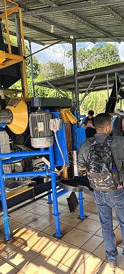 Gallery 12: Touring-coffee-plantation