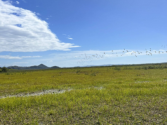 Gallery 2: Overlooking marsh wildlife