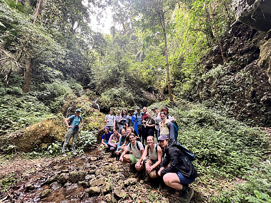 Gallery 9: Waterfalls-in-cloud-forest