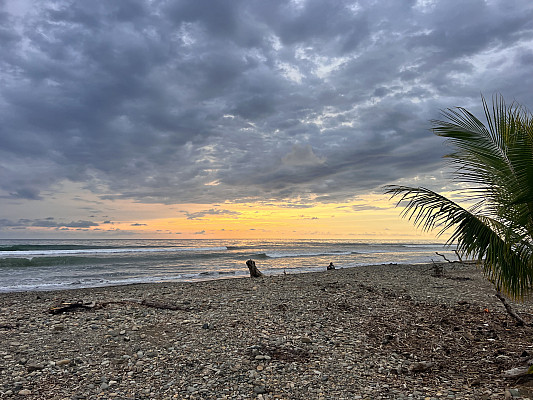 Gallery 13: Beach-day