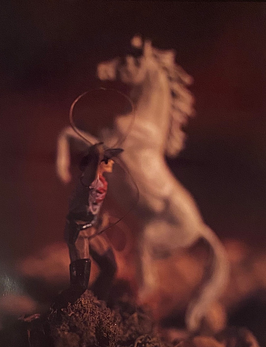 David Levinthal, Untitled from the series Wild West, 1998.