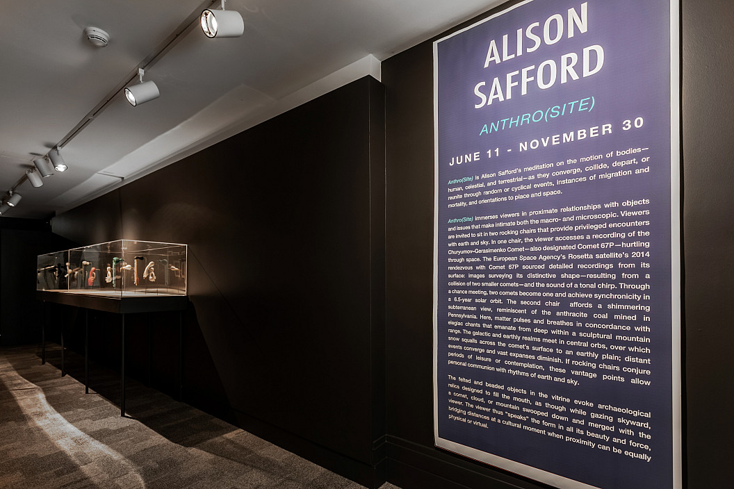 Installation View of Alison Safford: Anthro(Site) installed at The Berman Museum of Art, 2021.