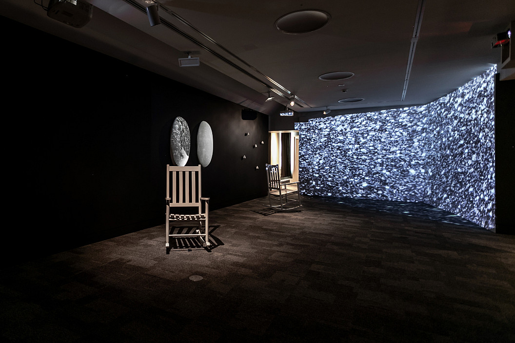 Installation View of Alison Safford: Anthro(Site) installed at The Berman Museum of Art, 2021.