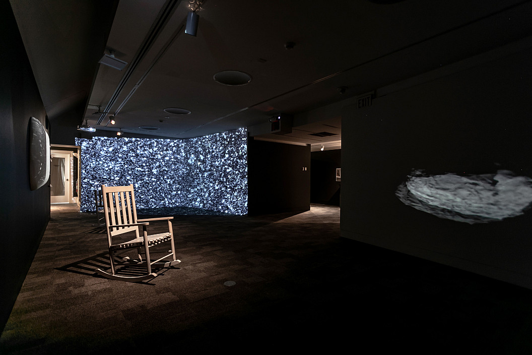 Installation View of Alison Safford: Anthro(Site) installed at The Berman Museum of Art, 2021.