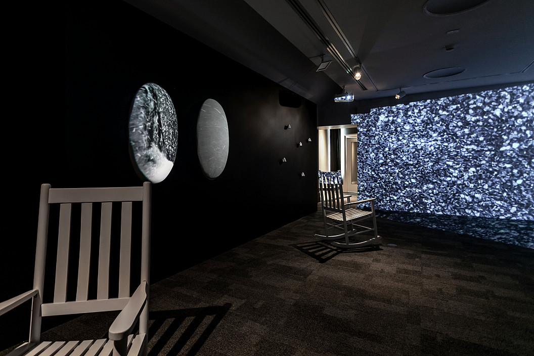 Installation View of Alison Safford: Anthro(Site) installed at The Berman Museum of Art, 2021.