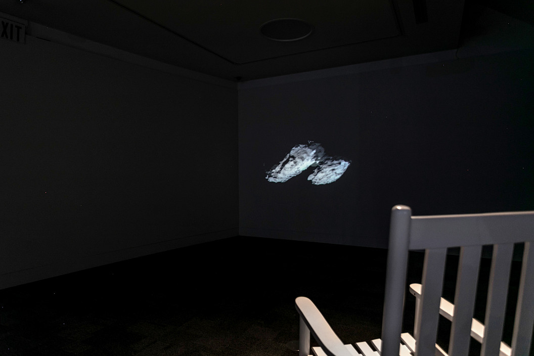 Installation View of Alison Safford: Anthro(Site) installed at The Berman Museum of Art, 2021.