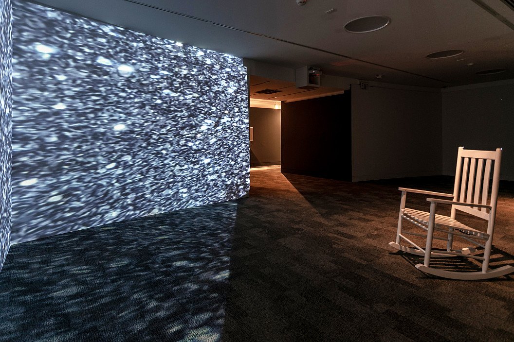 Installation View of Alison Safford: Anthro(Site) installed at The Berman Museum of Art, 2021.