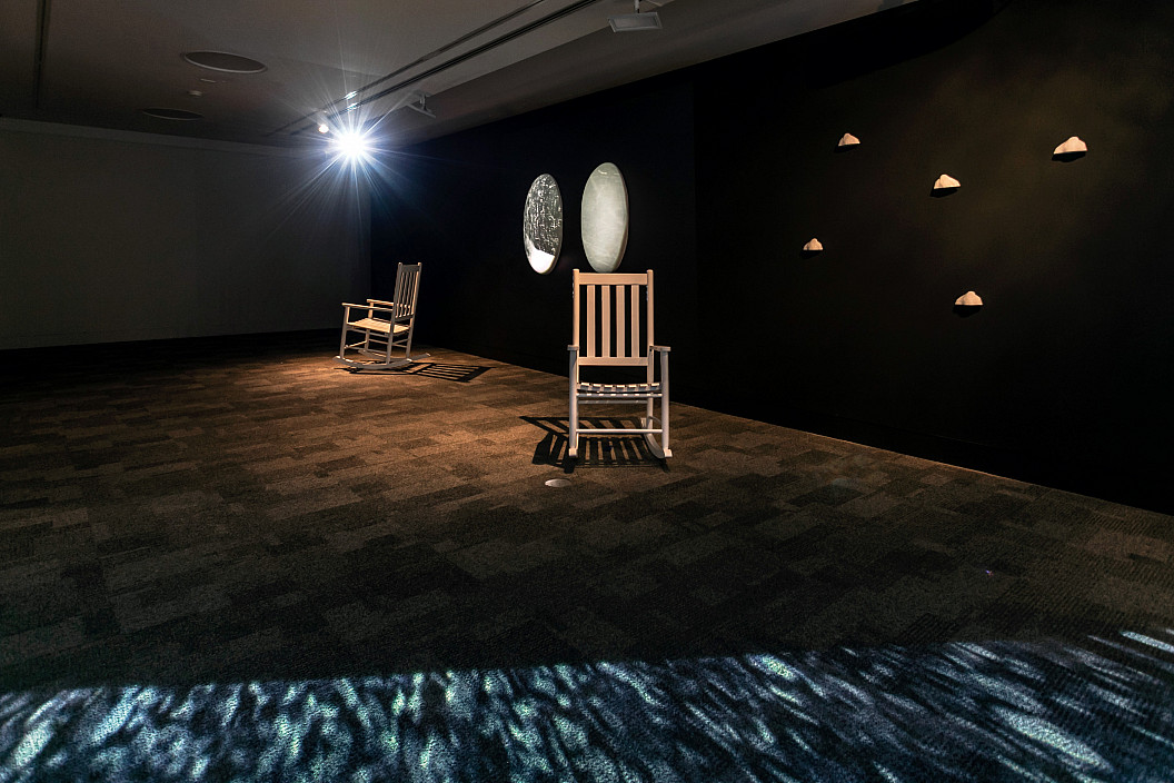 Installation View of Alison Safford: Anthro(Site) installed at The Berman Museum of Art, 2021.