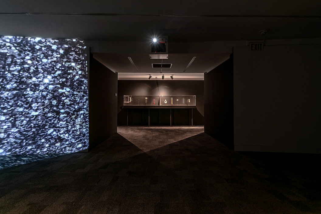 Installation View of Alison Safford: Anthro(Site) installed at The Berman Museum of Art, 2021.