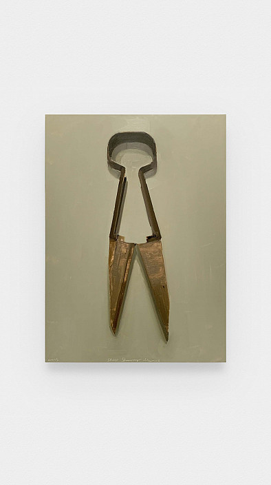 Carrie Mae Smith, Tool 1: Sheep Shears, 2021.