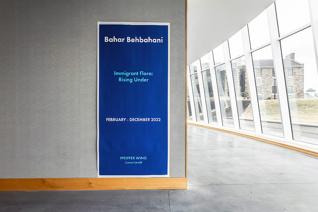 Bahar Behbahani, Immigrant Flora: Rising Under, 2021. Installation view.