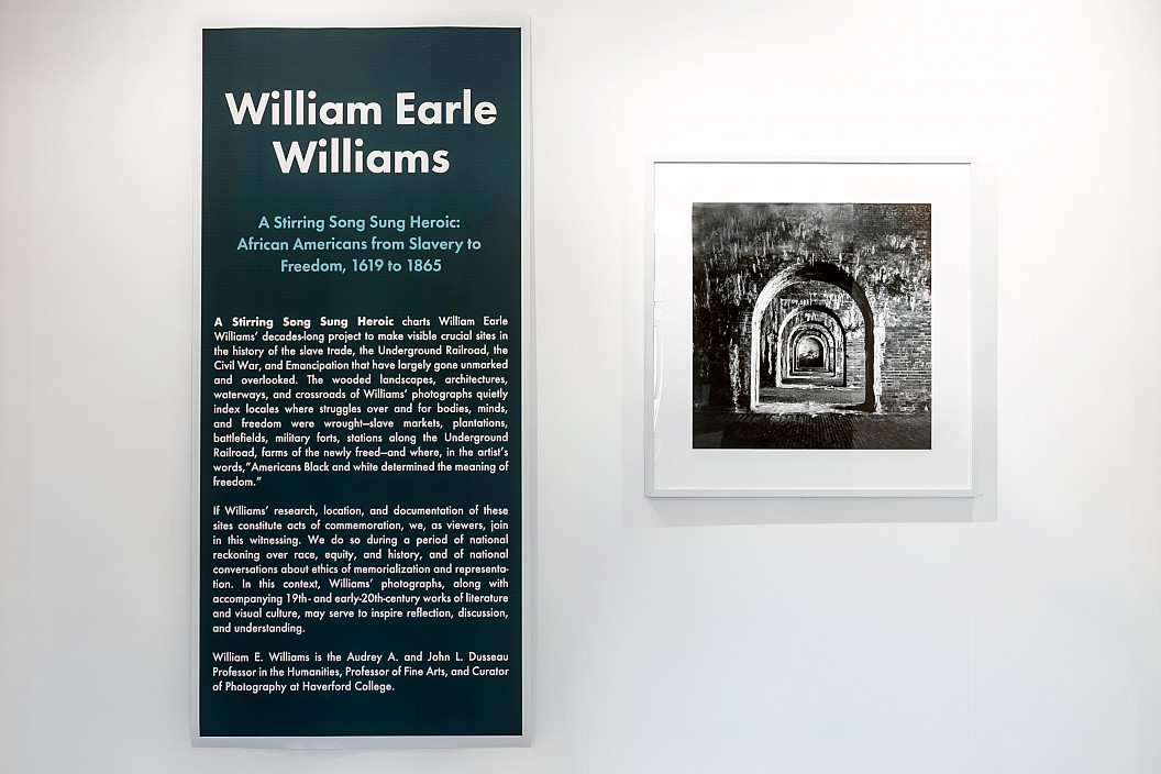 William Earle Williams banner