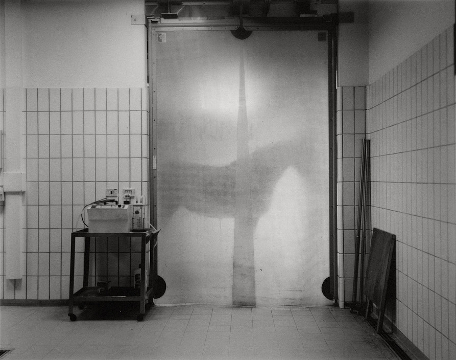 Andrea Modica, Caesar, Friesian, Tenectomy of the Long Digital Extensor Tendon, 2014.