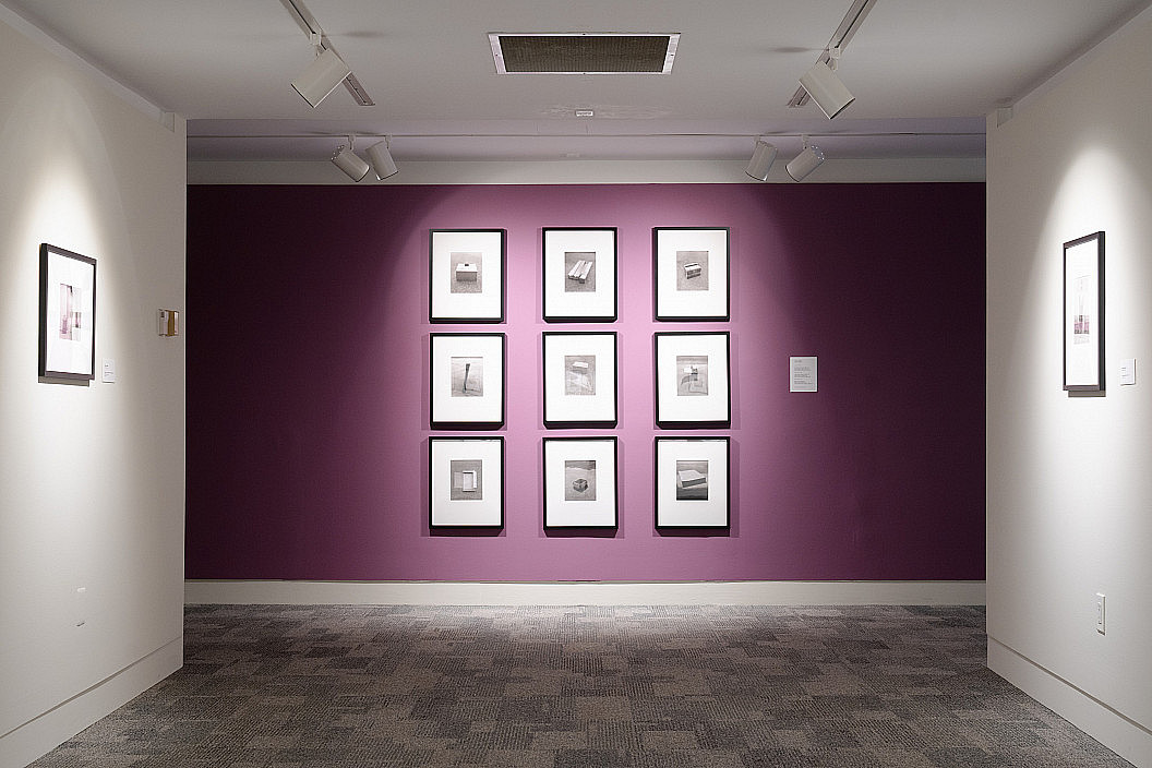 Installation view of Theatrum Equorum