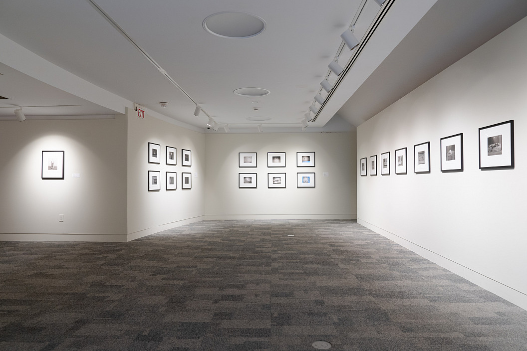 Installation view of Theatrum Equorum