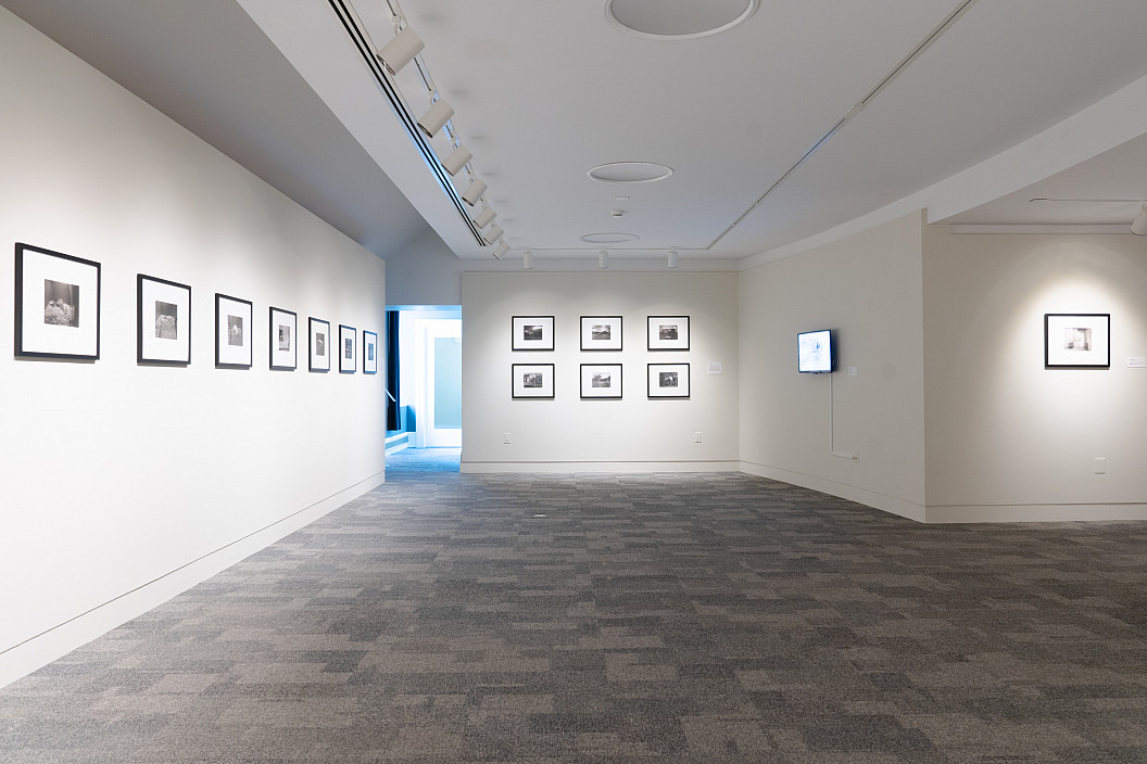 Installation view of Theatrum Equorum