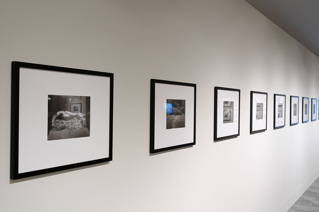 Installation view of Theatrum Equorum