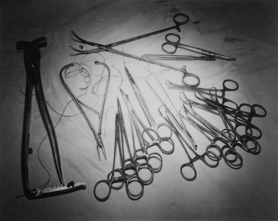 Andrea Modica, Castration, 2019.