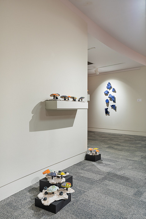 Installation view of Shaping Rhapsody. Photo by Joseph Hu.