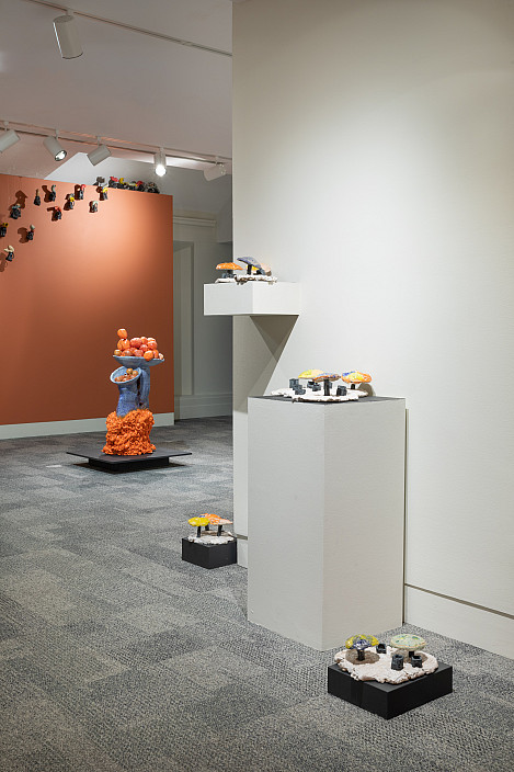 Installation view of Shaping Rhapsody. Photo by Joseph Hu.