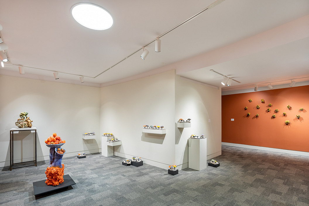 Installation view of Shaping Rhapsody. Photo by Joseph Hu.