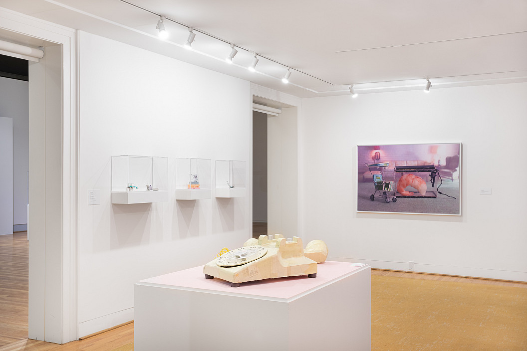 Installation view of Some Things Last a Long Time. Photo by Joseph Hu.