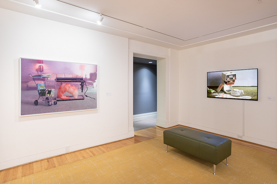 Installation view of Some Things Last a Long Time. Photo by Joseph Hu.