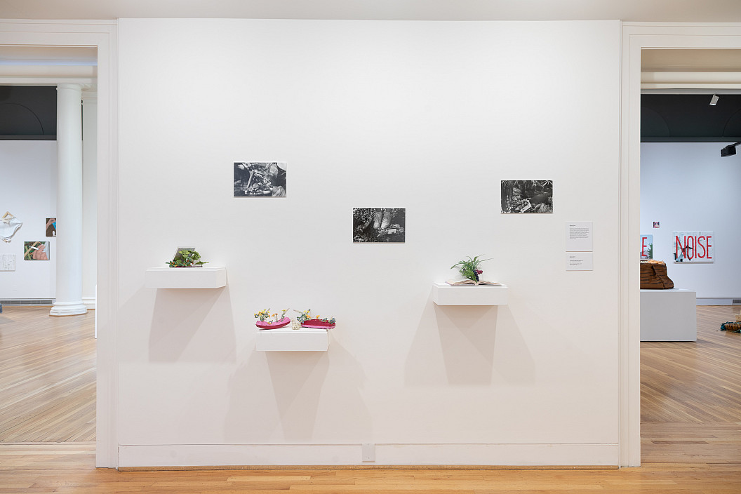 Installation view of Allie Fiore '24's work in ASE 2023.