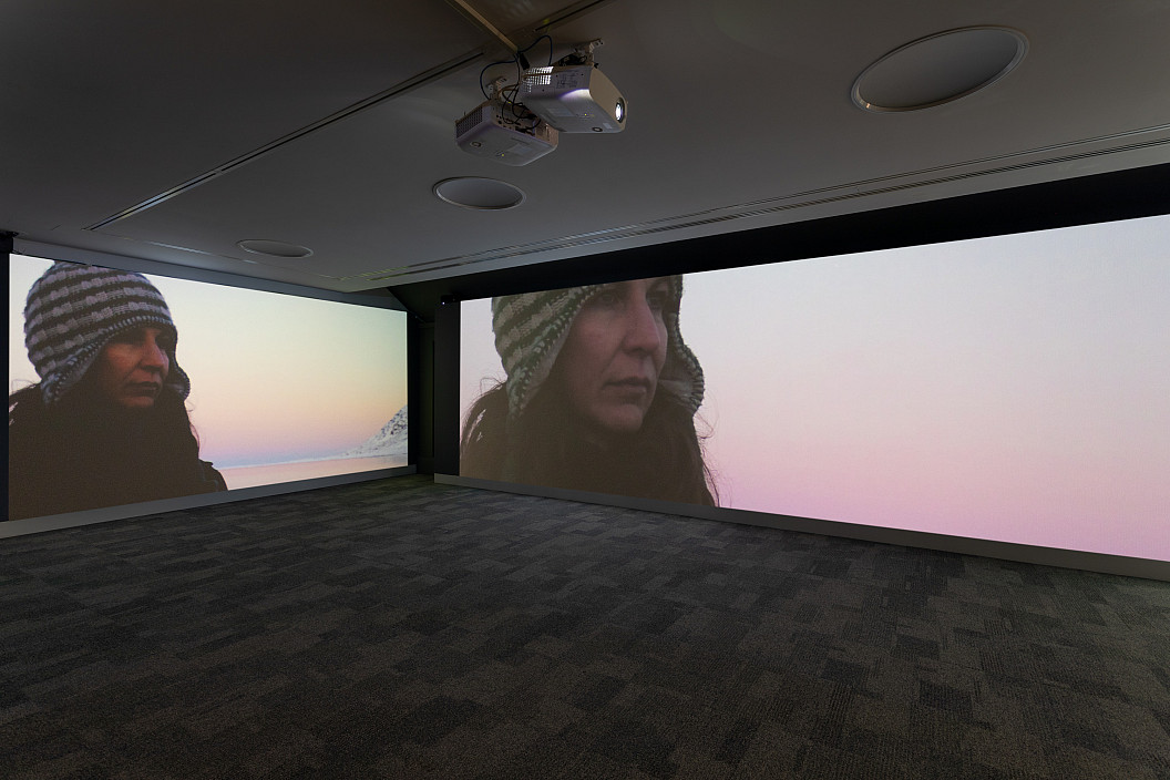 Installation view of Janet Biggs: Imagination and Desire in a Northern Landscape.