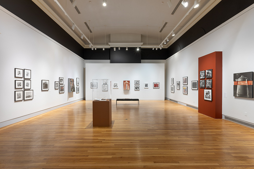 Enrique Bostelmann: Apertures and Borderscapes installation view. Photo by Joseph Hu.