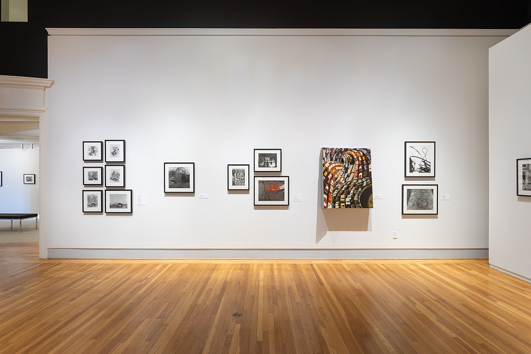 Enrique Bostelmann: Apertures and Borderscapes installation view. Photo by Joseph Hu.