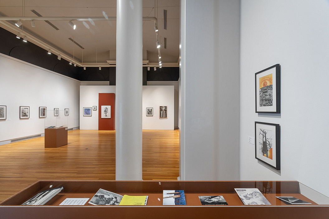 Enrique Bostelmann: Apertures and Borderscapes installation view. Photo by Joseph Hu.