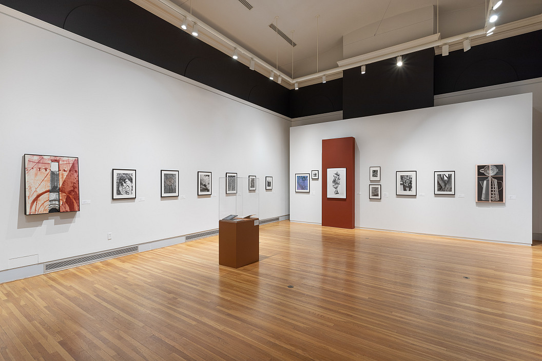 Enrique Bostelmann: Apertures and Borderscapes installation view. Photo by Joseph Hu.