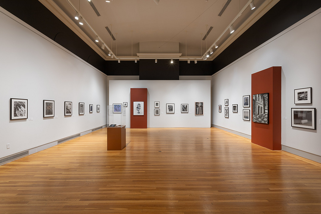 Enrique Bostelmann: Apertures and Borderscapes installation view. Photo by Joseph Hu.