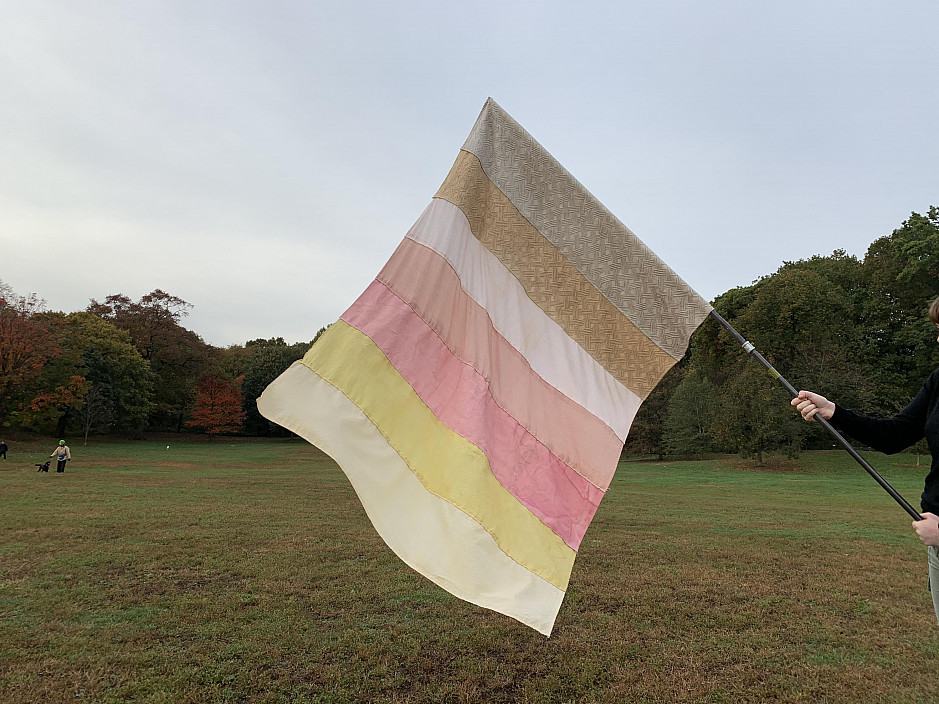 Brooke Singer, Site Profile Flag #3 Prospect Park Brooklyn.