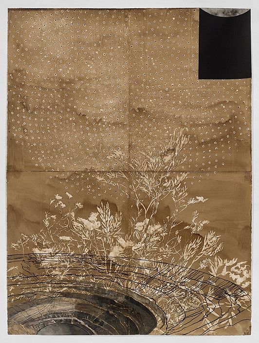 Ellen Driscoll, Grevillia and Strip Mine, 2017. Ink and collage on paper.