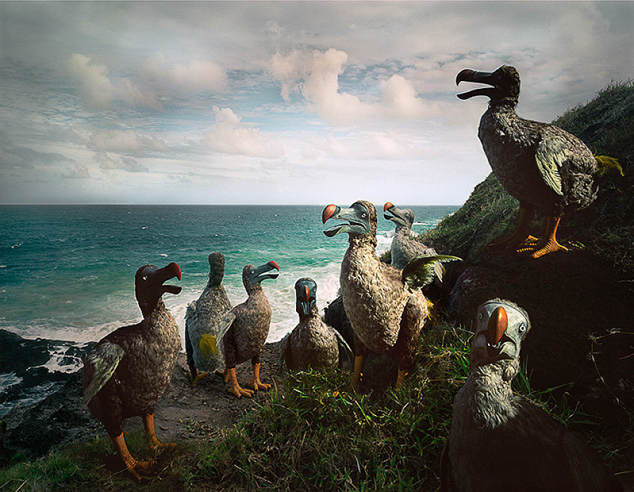 Harri Kallio, Benares #4, Mauritius, 2004.