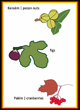 Fruits associated with 2019, 2021, and 2023 plantings. Illustrations by Kristen Cooney ('22) ...