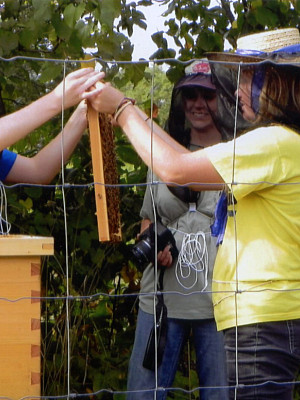 Learning to handle the bees at the farm.