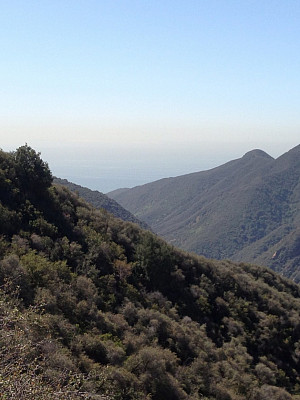 chapparal covered hills of California