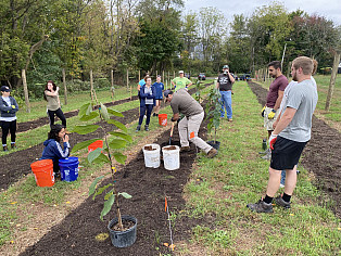 Planting phase II in Fall 2019.